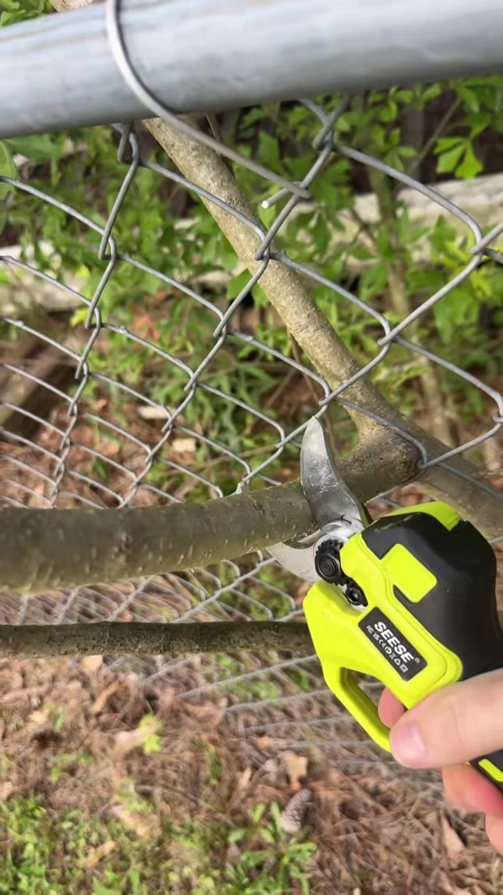 SEESE Electric Pruning Shears for Gardening: 1.25" Cutting Cordless Power Pruner, Brushless… creator video