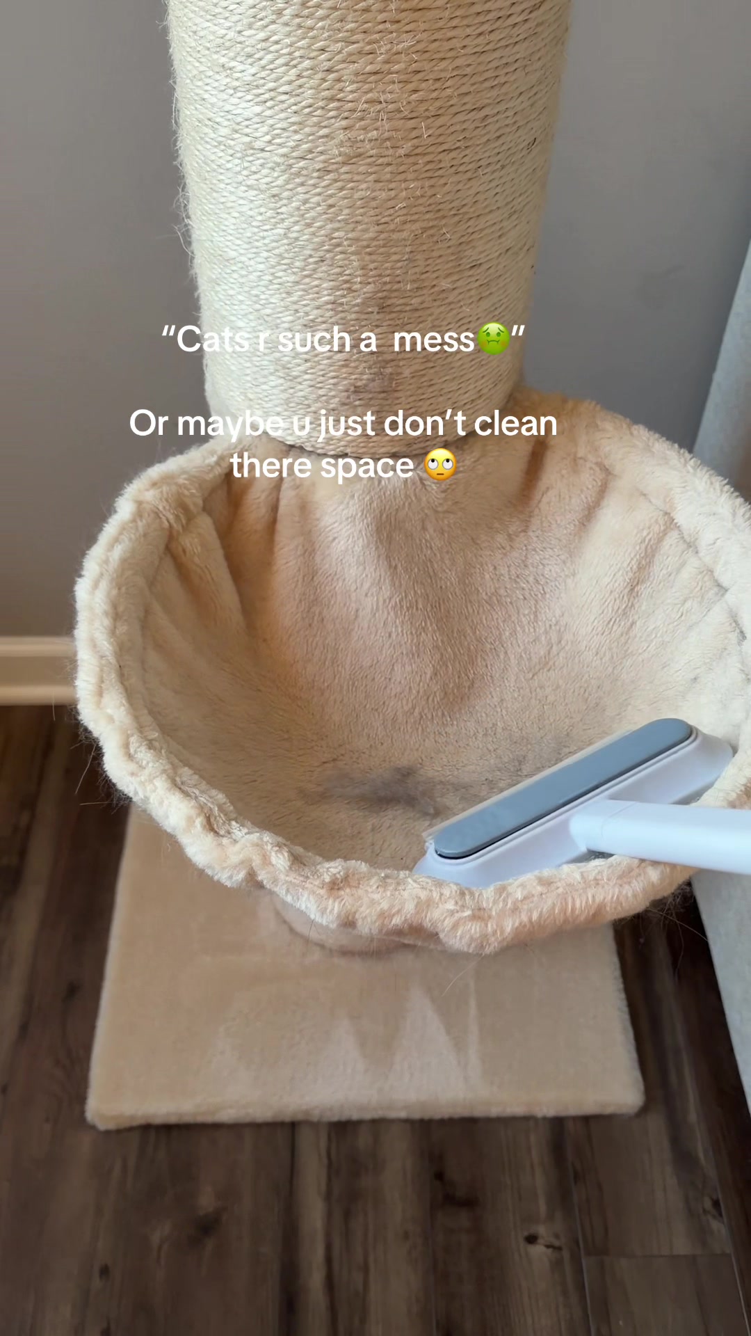 Upgraded Reusable Pet Hair Remover Brush – Extra-Long Handle Lint Cleaner for… creator video